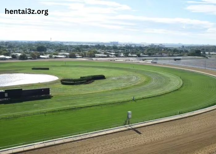 The features of horse racing tracks