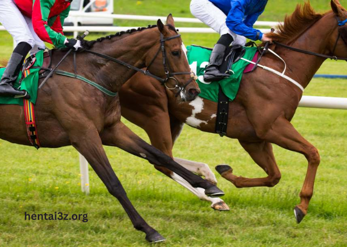 The Complete Guide to Horse Turf Racing